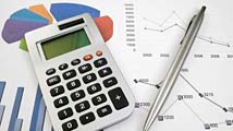 Chartered Accountancy Service