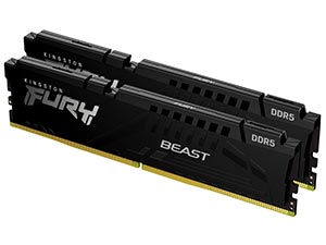 Kingston FURY Beast DDR5 5600MHz DIMM