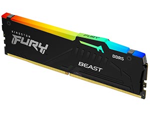Kingston FURY Beast RGB DDR5 5600MHz DIMM