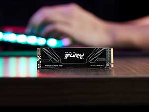 2TB Kingston FURY Renegade G5 M.2 NVMe PCIe SSD