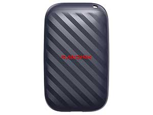 SANDISK Portable Drive (E10)