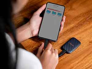 SANDISK Portable Drive (E10)