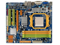 Biostar Motherboard TA780G M2+ HP