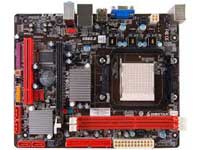 Biostar Motherboard A780L3C