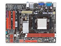 Biostar Motherboard MCP6P M2+