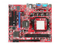 MSI (Micro-Star) Motherboard 740GTM-P21