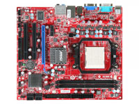 MSI (Micro-Star) Motherboard 740GTM-P25