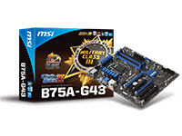 MSI (Micro-Star) Motherboard B75A-G43