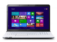 Sony VAIO Laptop SVE1713C5E