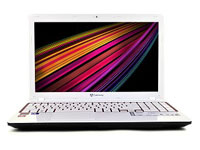 Gateway Notebook NV52L06u