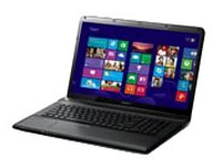 Sony VAIO Laptop SVE171390X