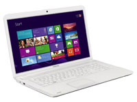 Toshiba Satellite C875-153