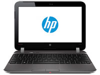 HP Pavilion Notebook dm1-4123ca