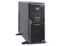Fujitsu Siemens Primergy TX300 S5 (D2619)