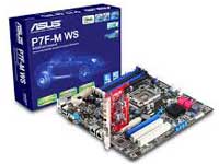 Asus Motherboard P7F-M WS