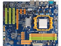 Biostar Motherboard TF520 A2plus