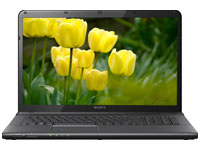 Sony VAIO Laptop SVE1513BYNB