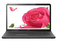 Sony VAIO Laptop SVE1513CYNB