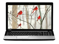 Toshiba Satellite C50-A-P0011