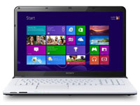 Sony VAIO Laptop SVE1713A6EW
