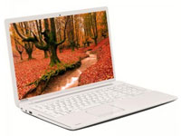 Toshiba Satellite C55-A-1PV