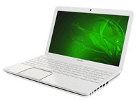 Toshiba Satellite L870-14V