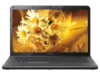 Sony VAIO Laptop SVE15131CNB