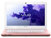 Sony VAIO Laptop SVE1413TCXP