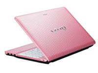 Sony VAIO Laptop VPCEH16EA
