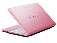 Sony VAIO Laptop VPCEH38FG