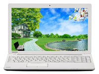 Toshiba Satellite C50D-A-40012
