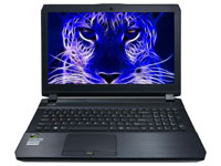 Clevo Notebook P650SA