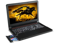 Sager Notebook NP7255