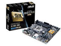Asus Motherboard B85M-G PLUS/USB 3.1
