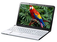 Sony VAIO Laptop SVE15127CNW