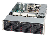Acme Micro Systems Server / Workstation RX316TF