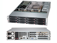 Acme Micro Systems Server / Workstation RD-212TR