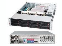 Acme Micro Systems Server / Workstation RS212EFR