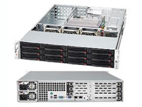 Acme Micro Systems Server / Workstation AGD-212TFR