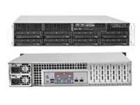 Polywell Server PolyServer C602A24L4-2U8SATA