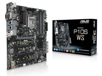 P10S WS