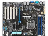 P10S-V/4L