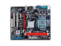 EliteGroup (ECS) Motherboard P4M900T-M