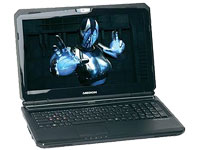 Medion Notebook Erazer X6817 (MD 97894)