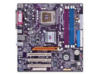 EliteGroup (ECS) Motherboard P4M800PRO-M