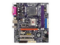 EliteGroup (ECS) Motherboard P4M890T-M