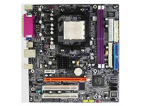 EliteGroup (ECS) Motherboard C51GM-M