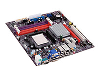 EliteGroup (ECS) Motherboard GF8100VM-M3