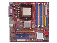 GeForce 6100 AM2 (Ver.3.x)