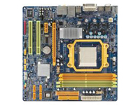 Biostar Motherboard TA690G AM2
